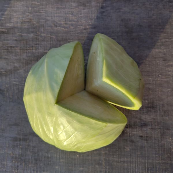 Hovedbilde Kål Hodekål - 1 stk